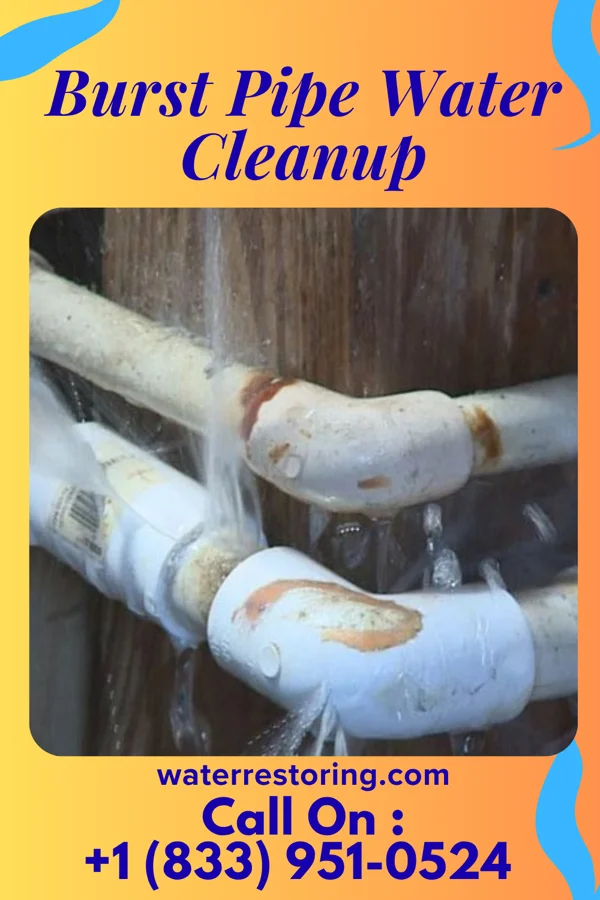 Burst Pipe Water Cleanup in Absecon, NJ