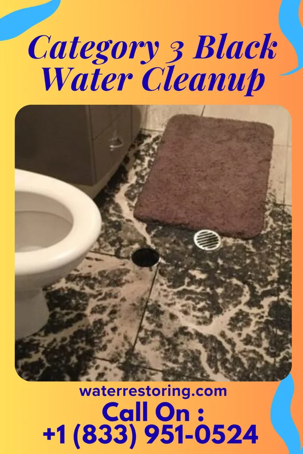Category 3 Black Water Cleanup in Absecon, NJ