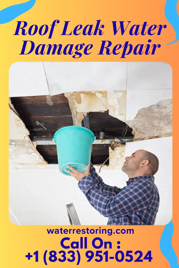Roof Leak Water Damage Repair in Absecon, NJ